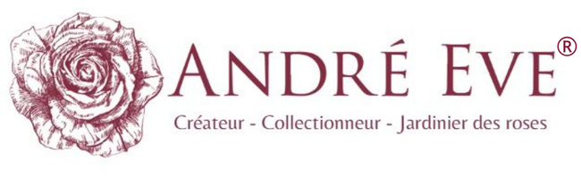 Les Roses Anciennes André Ève